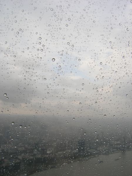 p9137100.jpg