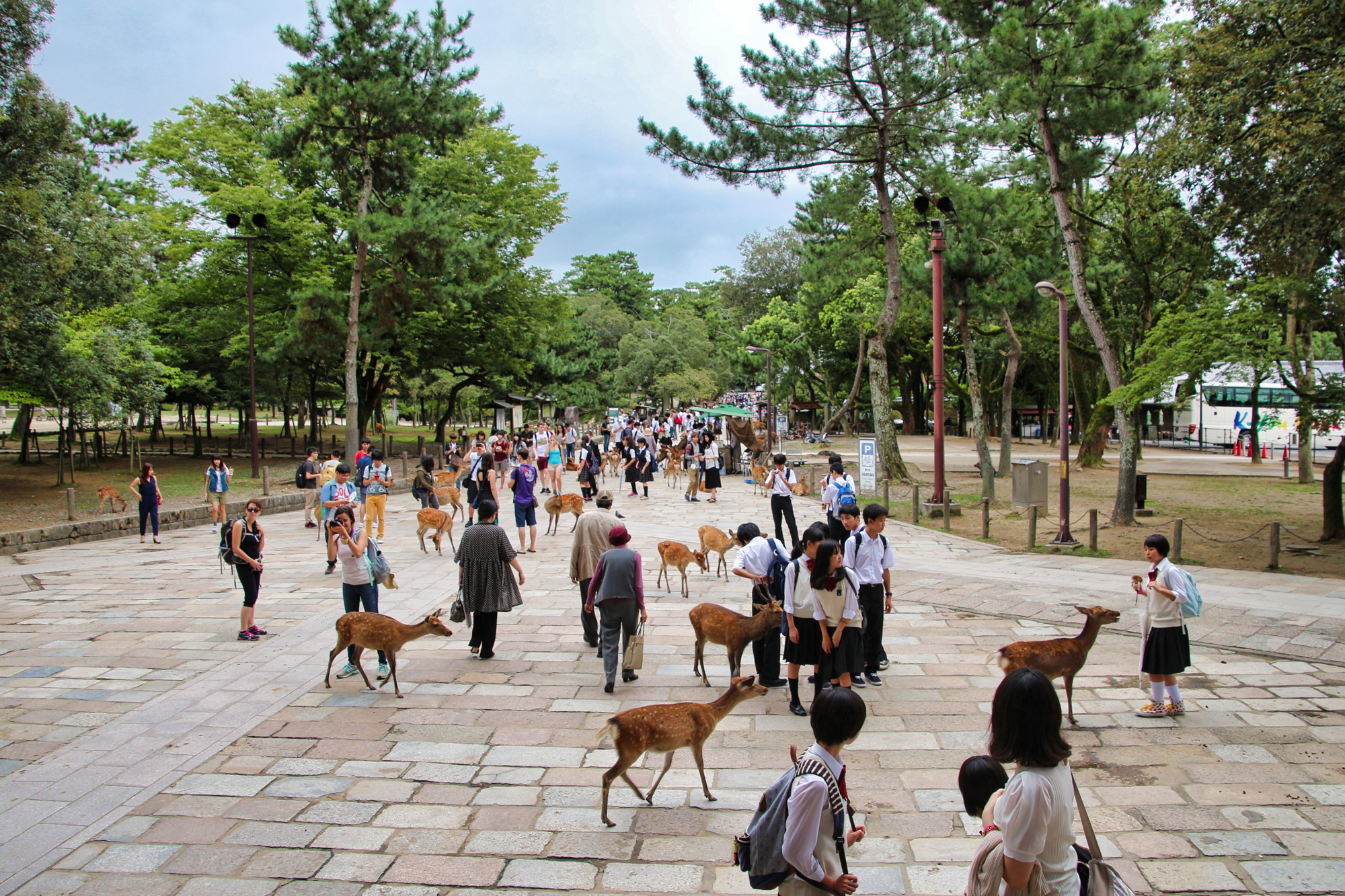 2015-09-07_nara_2.jpeg