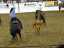rodeo_02